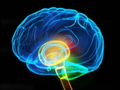 Ból kręgosłupa zmienia pracę twojego mózgu!